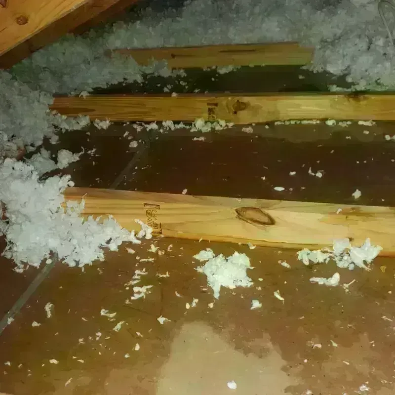 Attic Water Damage in Fayetteville, NY