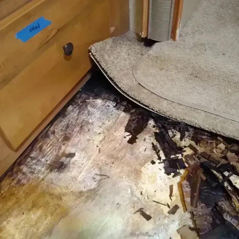 Wood Floor Water Damage in Fayetteville, NY